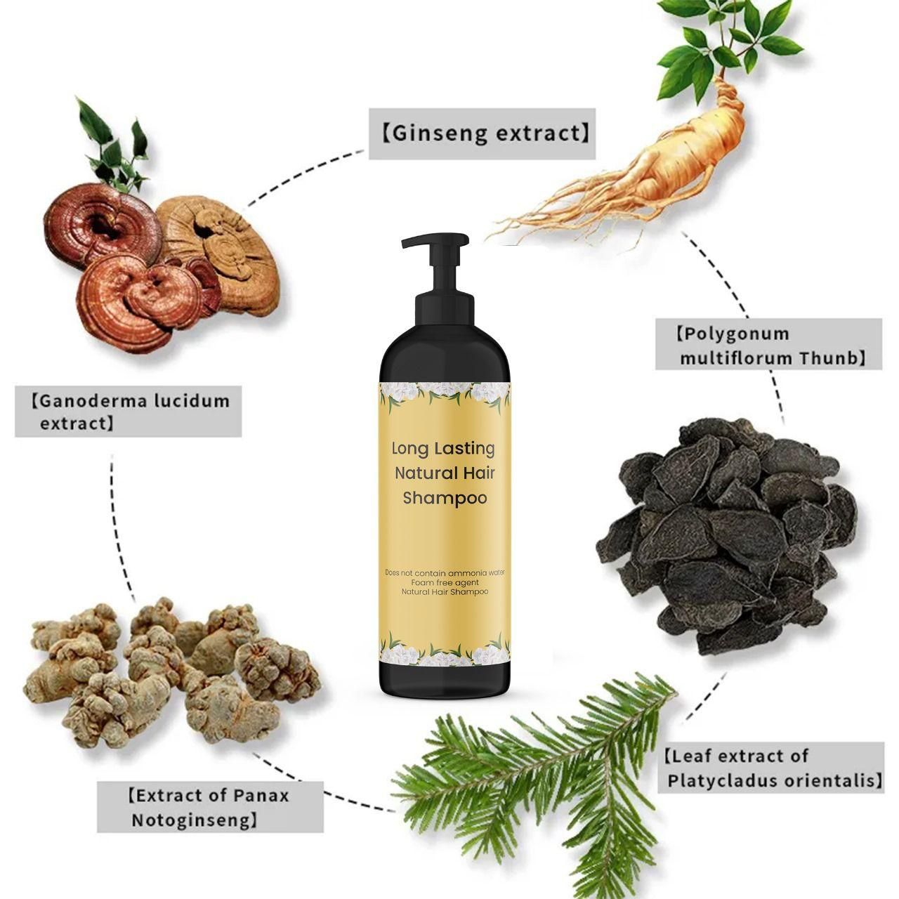 Long Lasting Natural Hair Dye Shampoo | 🔥🔥Buy 1 Get 1🔥🔥