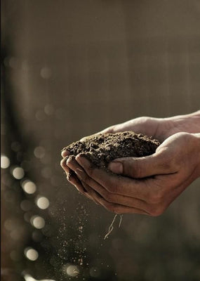Organic Vermicompost 500gm | 🔥Flat 60% Off Sale!🔥