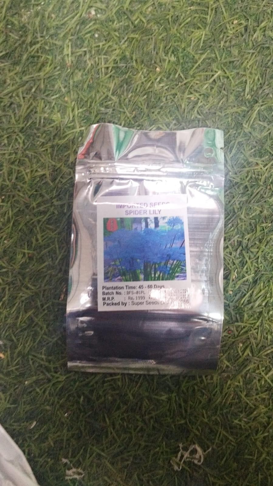 Lily Equinox Flower Bulbs Seeds | 🔥Flat 50% Off Sale🔥