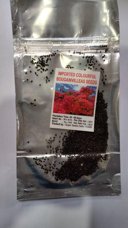 Mix Colour Bougainvillea Flower Seeds For Home Garden | 🔥Flat 50% Off Sale🔥